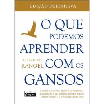 O Que Podemos Aprender Com Os Gansos - 1