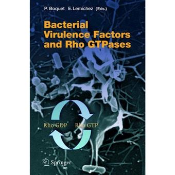 Bacterial Virulence Factors and Rho Gtpases - Hardback - 2005 - 1