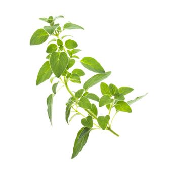 Recarga Tregren SEEDPOD02 - 1