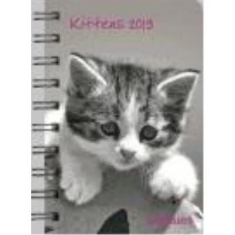 Pocket Deluxe Diaries Kittens 2013 - 1