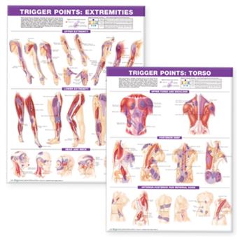 Trigger Point Chart Set - Torso and Extremities - Wallchart - 2007 - 1