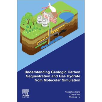 Understanding Geologic Carbon Sequestration And Gas Hydrate From Molecular Simulation - 1