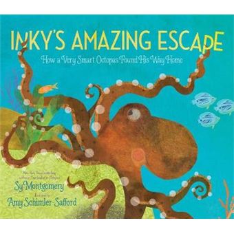 Inky'S Amazing Escape How A Very Smart Octopus Found His Way Home - 1
