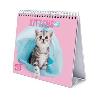 Calendario De Secretaria Deluxe 2021 Studio Pets Cats - 1