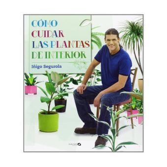 Como Cuidar Las Plantas De Interior - 1