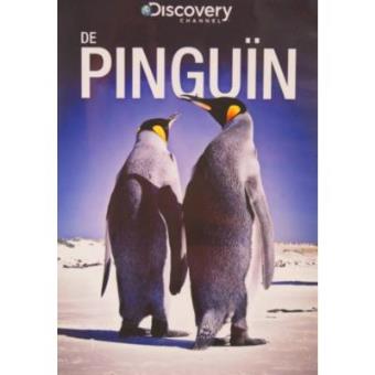 Pinguin - 1