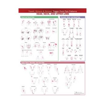 Travell Simons  Simons Trigger Point Pain Patterns Wall Chart By Wolters Kluwer Health - 1
