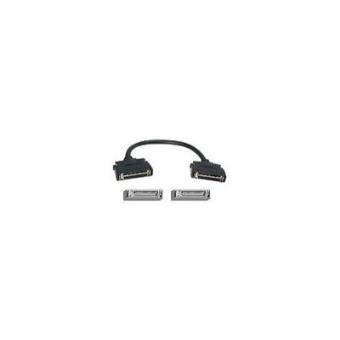 Extreme networks Summit X450 Stacking Cable, 1.5 m - 1