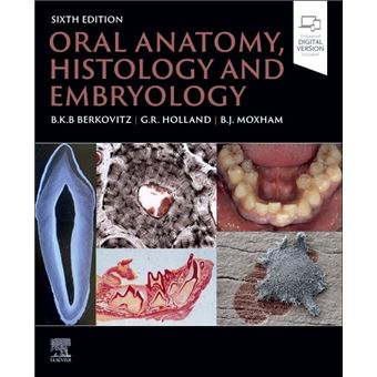 Oral Anatomy Histology And Embryology - 1
