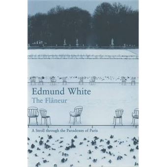 The Flaneur : A Stroll Through the Paradoxes of Paris - 1