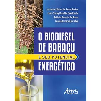 O Biodiesel De Babaçu E Seu Potencial Energético - 1