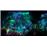 Ori and the Blind Forest: Definitive Edition Xbox One_2