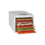 vidaXL Desidratador de alimentos com 10 bandejas, 550W, branco