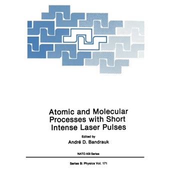 Atomic and Molecular Processes with Short Intense Laser Pulses - Paperback - 2013 - 1