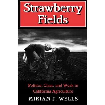 Strawberry Fields - Politics, Class and Work in California Agriculture - Paperback - 1996 - 1