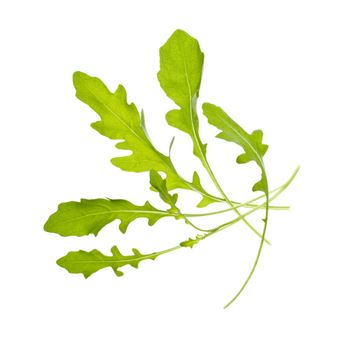 Recarga Tregren SEEDPOD11 - 1