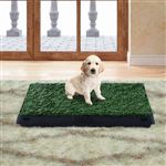 Sanita com Tabuleiro para Cães PawHut | Plástico | 51x63x6 cm - Verde e Preto
