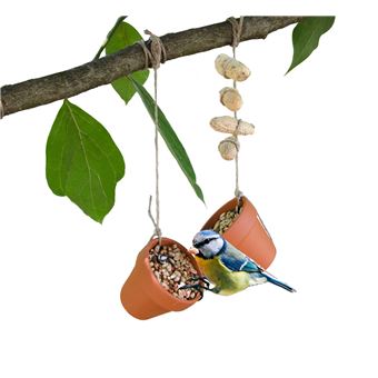 Comida para Pássaros National Geographic para Fazer em Casa - 1