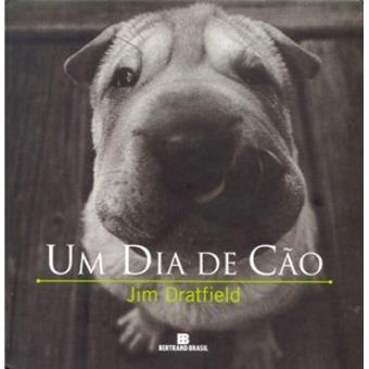 Um Dia De Cão - 1