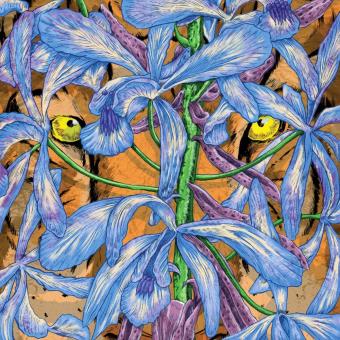 Second Storey-Margosa Heights - 1