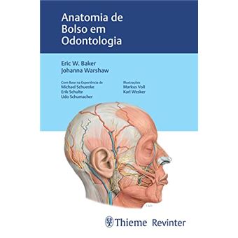 Anatomia De Bolso Em Odontologia - 1