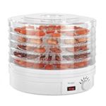 vidaXL Desidratador de alimentos com 10 bandejas, 550W, branco