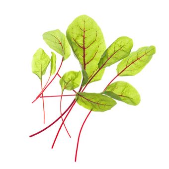 Recarga Tregren SEEDPOD99 - 1