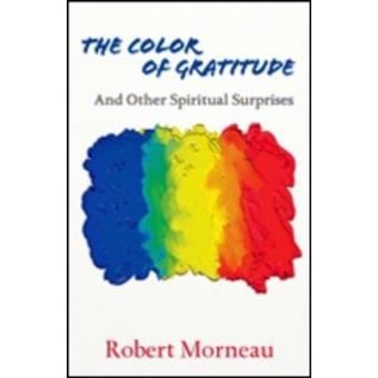 The Color of Gratitude - And Other Spiritual Surprises - Paperback - 2009 - 1