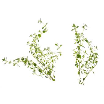 Recarga Tregren SEEDPOD01 - 1