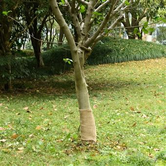 Rolo de juta vidaXL | 0,25x100 m 100% juta 200 gsm - 1