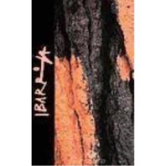 Ibarrola. El bosque de Oma. Omako basoa - 1