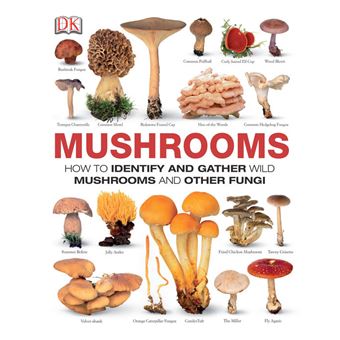 Mushrooms - 1