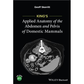 Kings Applied Anatomy Of The Abdomen And Pelvis Of Domestic Mammals - 1