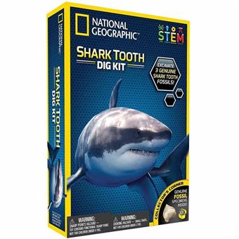 National Geographic Dig Shark Tooth Game - Versão ES - Toy Partner - 1