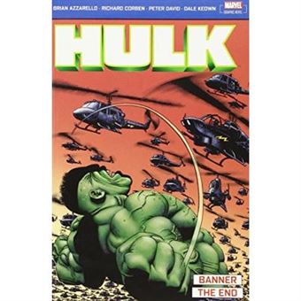 Incredible Hulk: Banner & The End: Banner And The End - 1