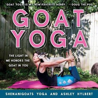 Goat Yoga The Light In Me Honors The Goat In You - 1
