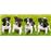 Castorland Jack Russell Terrier Puppies 600peça(s)_1