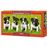 Castorland Jack Russell Terrier Puppies 600peça(s)_2