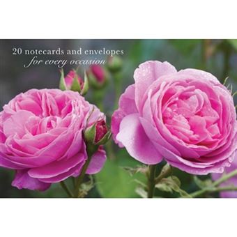 Card Box of 20 Notecards and Envelopes: Pink Rose - Cards - 2012 - 1