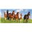 Castorland Horse Paradise 600peça(s)_0