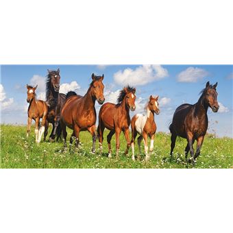 Castorland Horse Paradise 600peça(s)