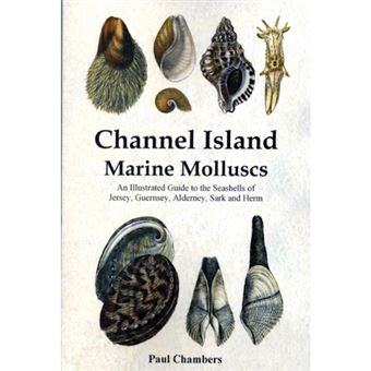 Channel Island Marine Molluscs - 1