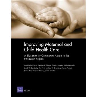 Improving Maternal and Child Health Care: MG-225-HE : A Blueprint for Community Action in the Pittsburgh Region - 1