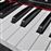 Piano Digital Clássico Electrónico vidaXL com 88 Teclas e Tripé_3