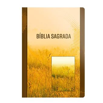 Bíblia Nvi Letra Grande Brochura Neutra - 1