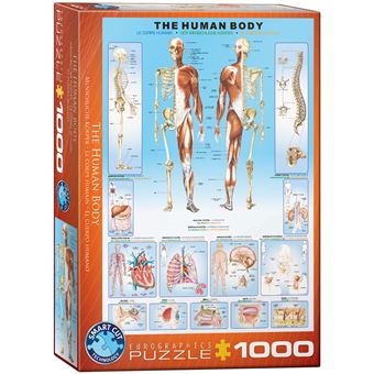 Puzzle Eurographics O Corpo Humano | The Human Body | 1000 Peças - 1