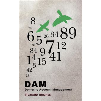 Dam - Domestic Account Management - Paperback / softback - 2008 - 1