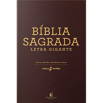 Bíblia leitura perfeita - Letra gigante (capa neutra) - 1