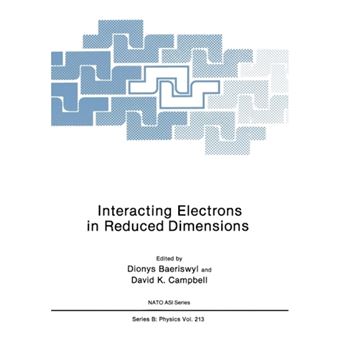 Interacting Electrons in Reduced Dimensions - Paperback - 2011 - 1