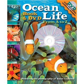 Livro infantil ISBN Ocean Life From A to Z Book and DVD - 1